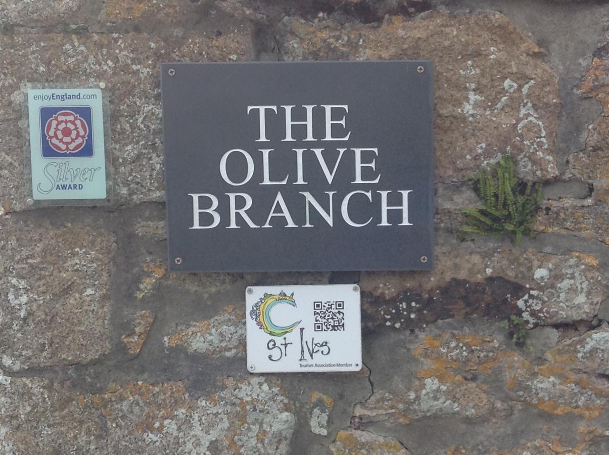 The Olive Branch Bed and Breakfast St Ives Exteriör bild